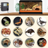 DIGITEN Temperature Controller with Timer Reptile Thermostat Timer Day Night Thermostat Outlet Greenhouse Thermostat Cooling Heating Mode Temperature Controlled Thermostat for Mushroom Fermentation