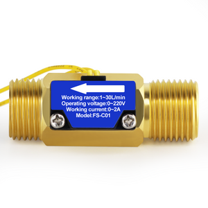 DIGITEN FS-C01 G1/2" Male Thread Water Flow Switch with Filter 0-2A/ 0-220V(AC or DC)