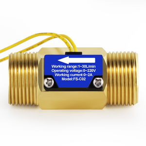 DIGITEN FS-C02 G3/4" Male Thread Water Flow Switch 0-2A/ 0-220V(AC or DC)