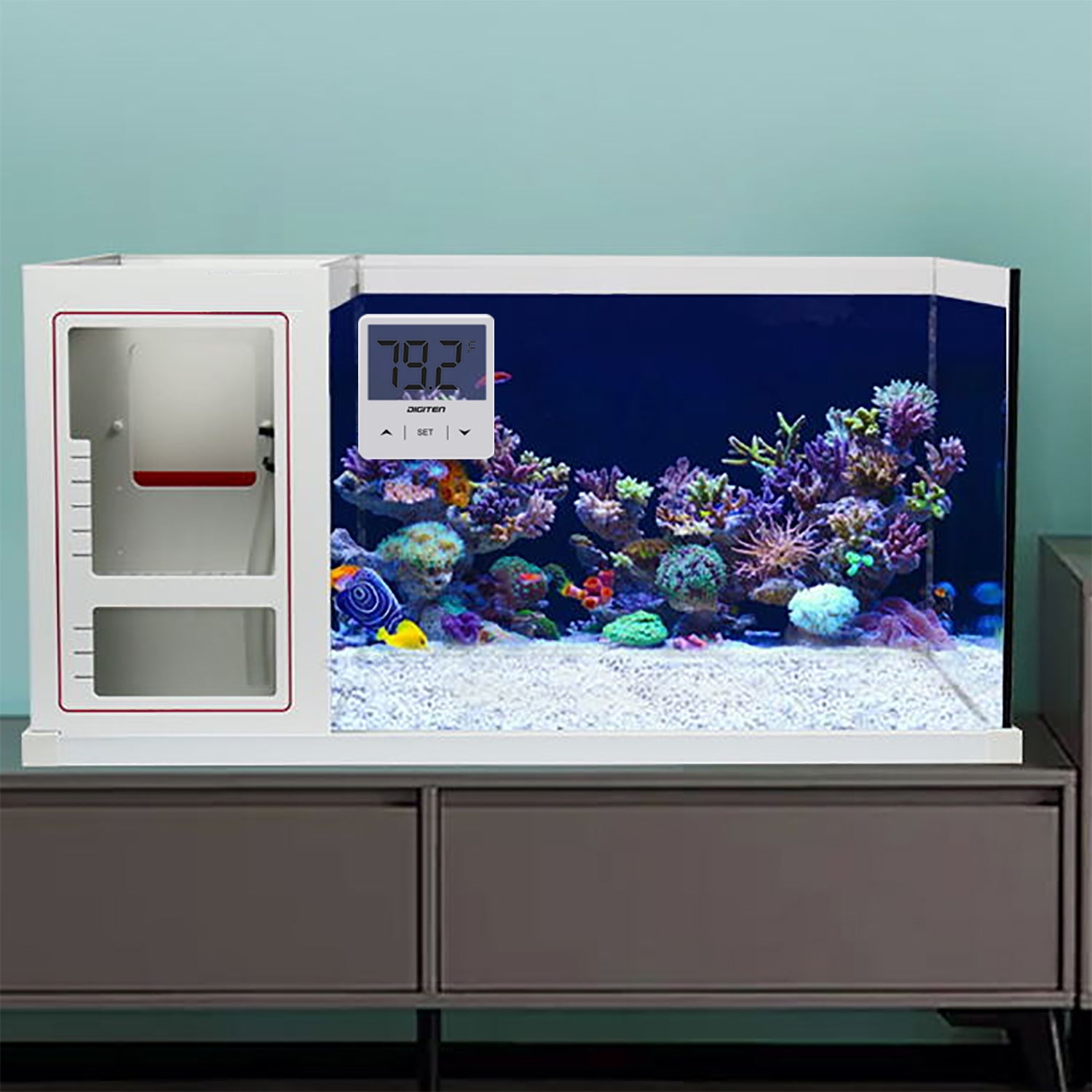 2 Pcs Numérique LCD Thermomètre pour Aquarium Fish Tank Vivarium Reptile  Terrarium (Noir)
