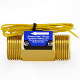 DIGITEN FS-C02 G3/4" Male Thread Water Flow Switch 0-2A/ 0-220V(AC or DC)