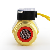 DIGITEN FS-C01 G1/2" Male Thread Water Flow Switch with Filter 0-2A/ 0-220V(AC or DC)