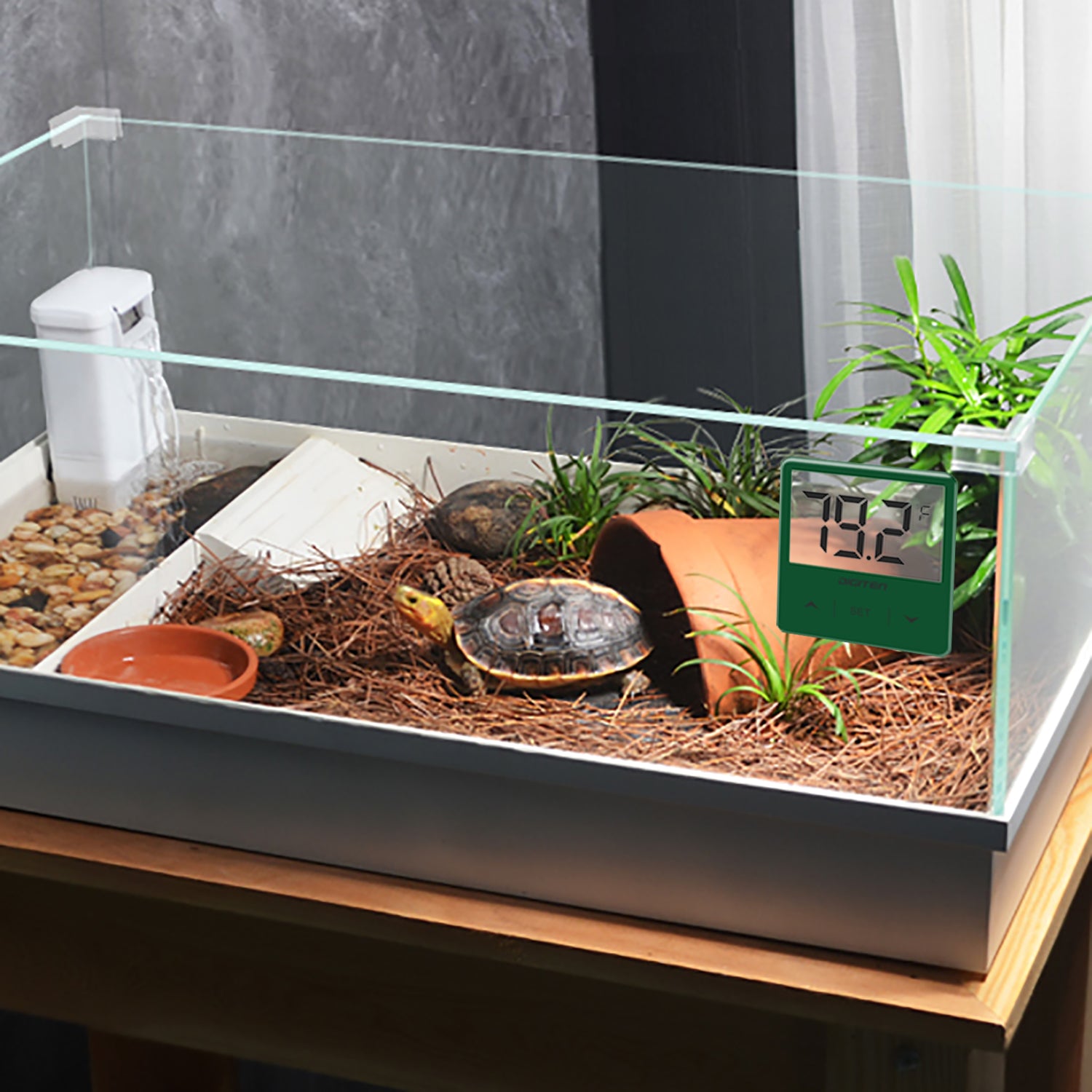 Acheter PDTO Digital Aquarium Fish Tank Thermomètre Terrarium