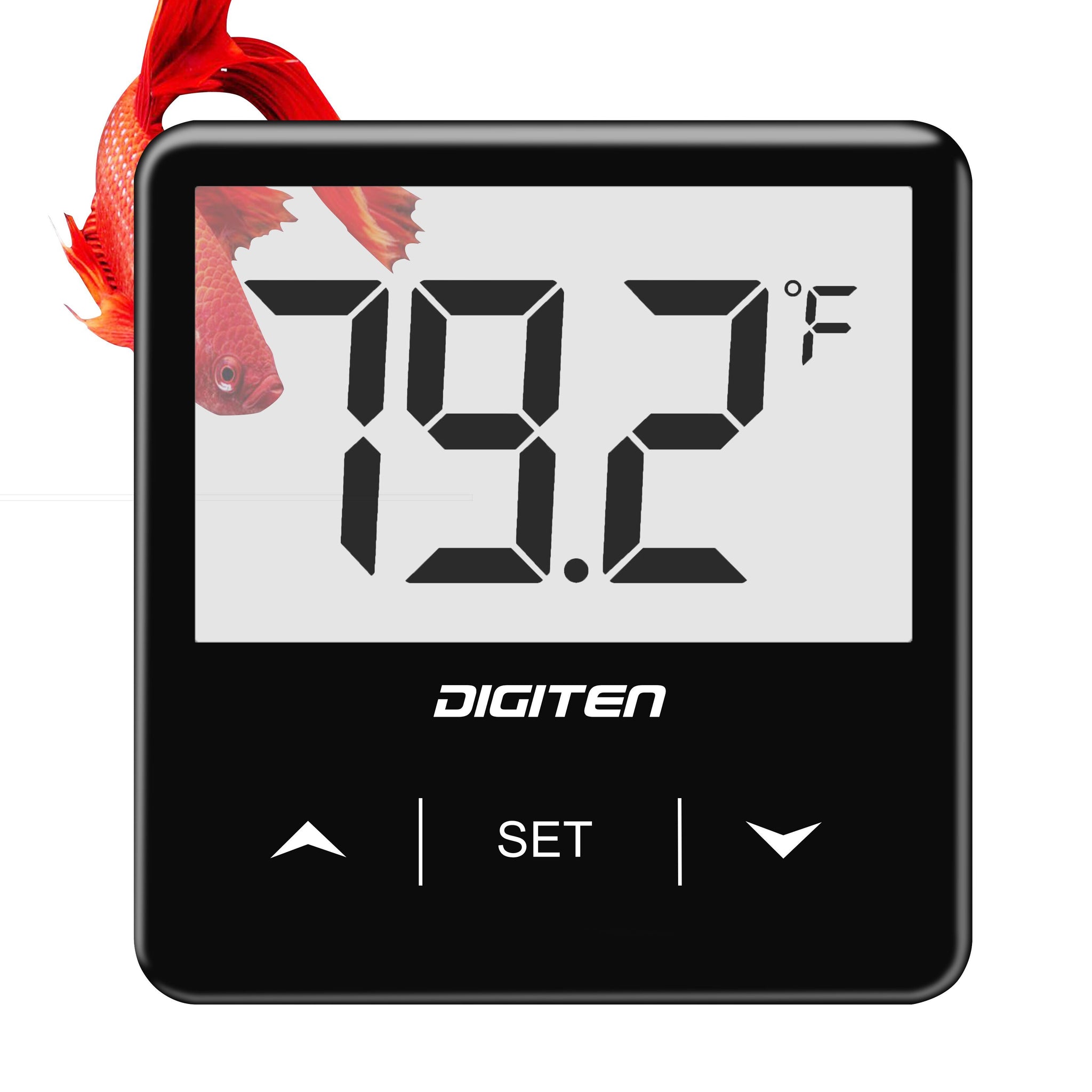 Great Choice Products Mini Reptile Terrarium Digital Thermometer