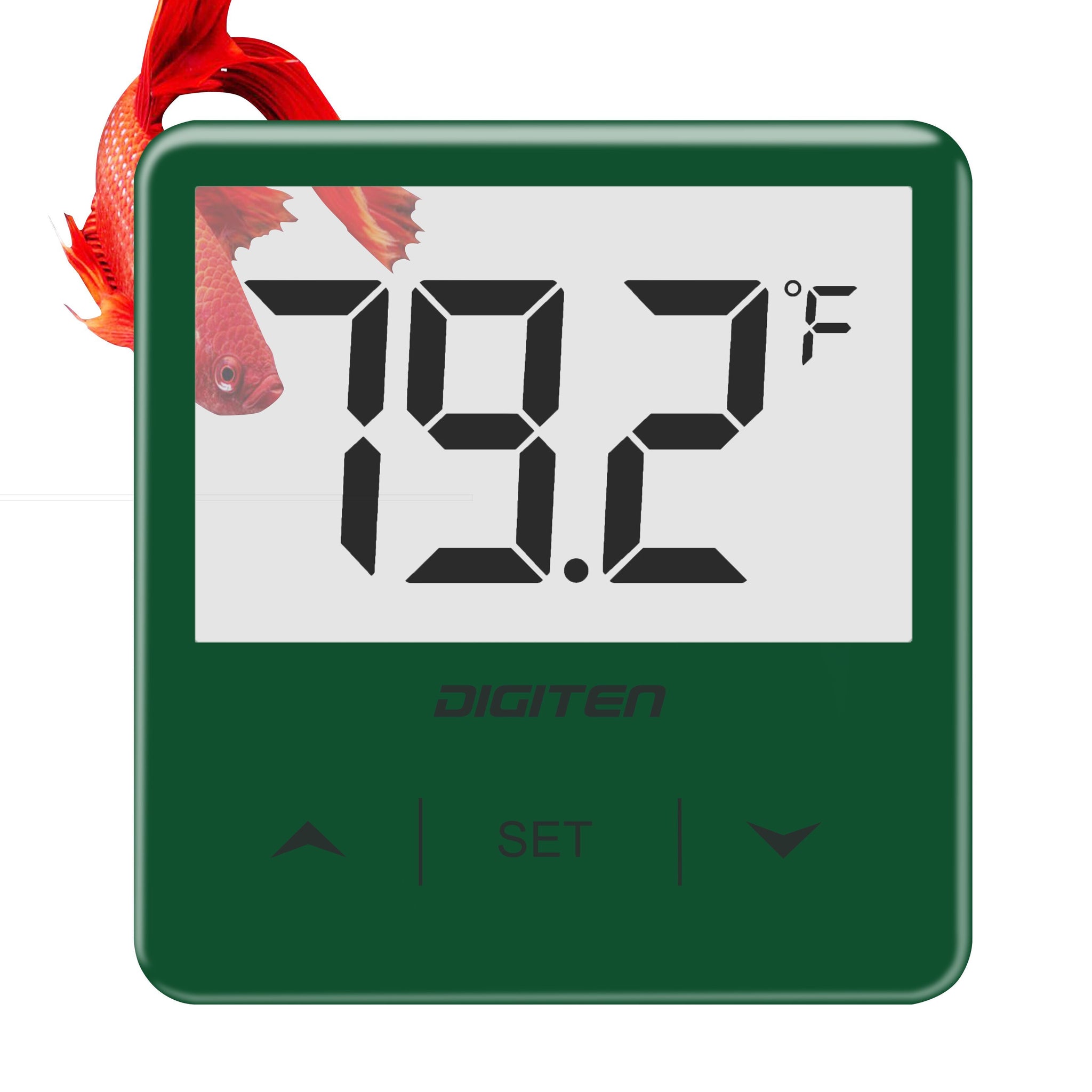 Digital Aquarium Thermometer - Measure Water Temperature