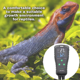 DIGITEN Temperature and Humidity Controller DHTC-1011 Pre-Wired Dual Stage Outlet Digital Thermostat Humidistat for Reptile Terrarium Mushroom Greenhouse Home Brew Fermentation